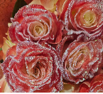 Speciality Glitter Roses Dozen $125